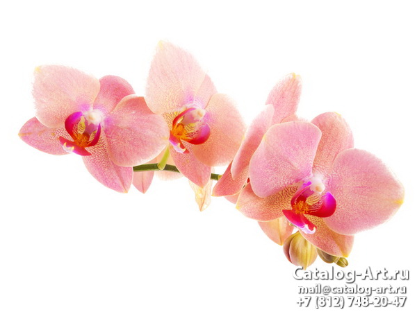 картинки для фотопечати на потолках, идеи, фото, образцы - Потолки с фотопечатью - Розовые орхидеи 12